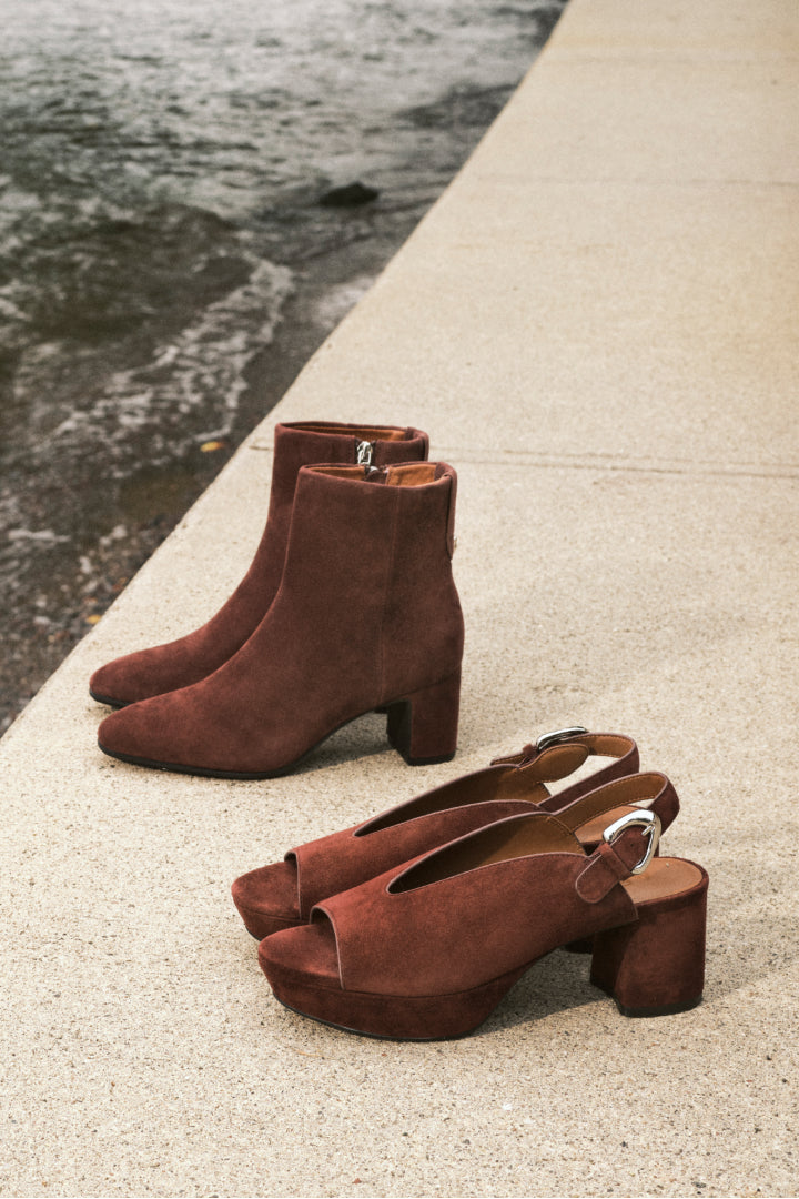 Fig and Merlot Image