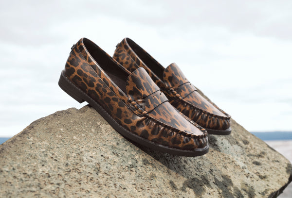 shop all fall trends